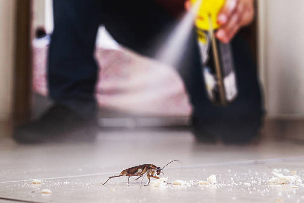 Professional Pest Control in Avon By The Sea, NJ